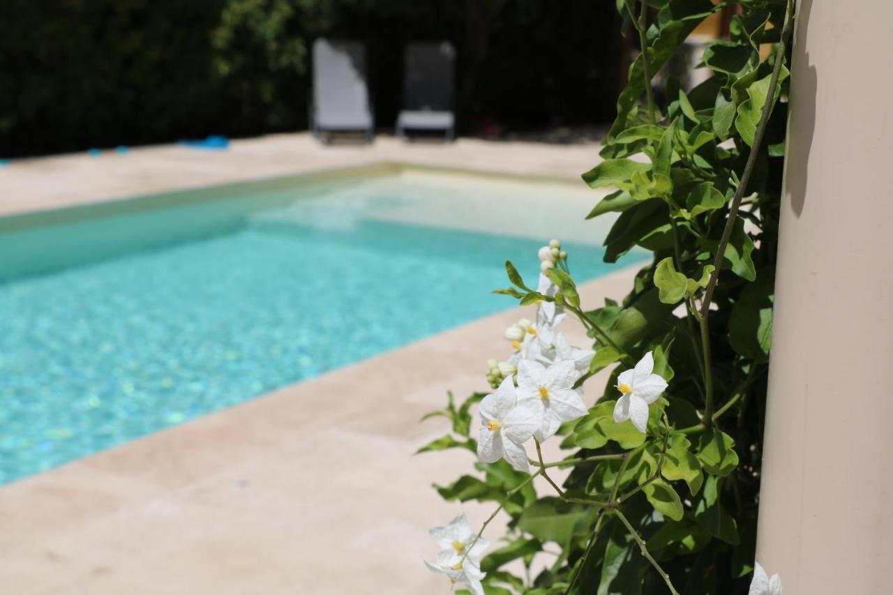 La Villa Des Moulins Calvisson Luaran gambar
